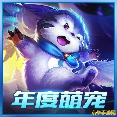 美服王者荣耀怎么使用 美服王者荣耀攻略：从入门到精通