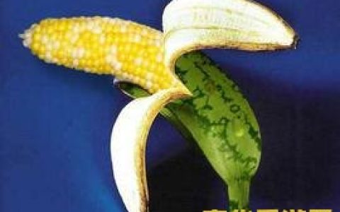 三国杀王者荣耀怎么玩 三国杀王者荣耀：策略与荣耀的交织