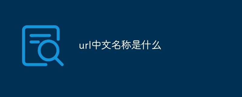 url中文名称是什么插图 url中文名称是什么