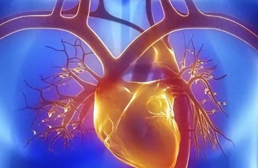 美国一款心脏泵已致49人死亡 已召回数万台设备插图 心脏泵