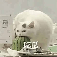 国内一公司与OpenAI三次“撞车”：类Sora架构一年前已发论文