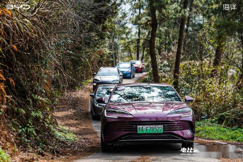 电比油低 荣耀不停 比亚迪海洋5款车型荣耀版贵阳正式上市