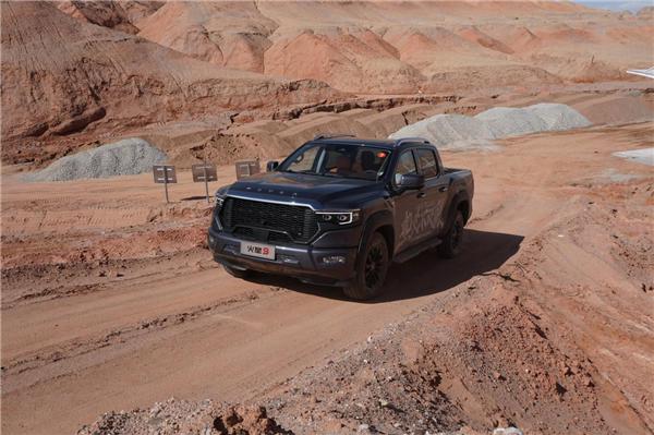 2月自动挡皮卡销量解读：长城霸主地位难撼 谁能挑战插图4