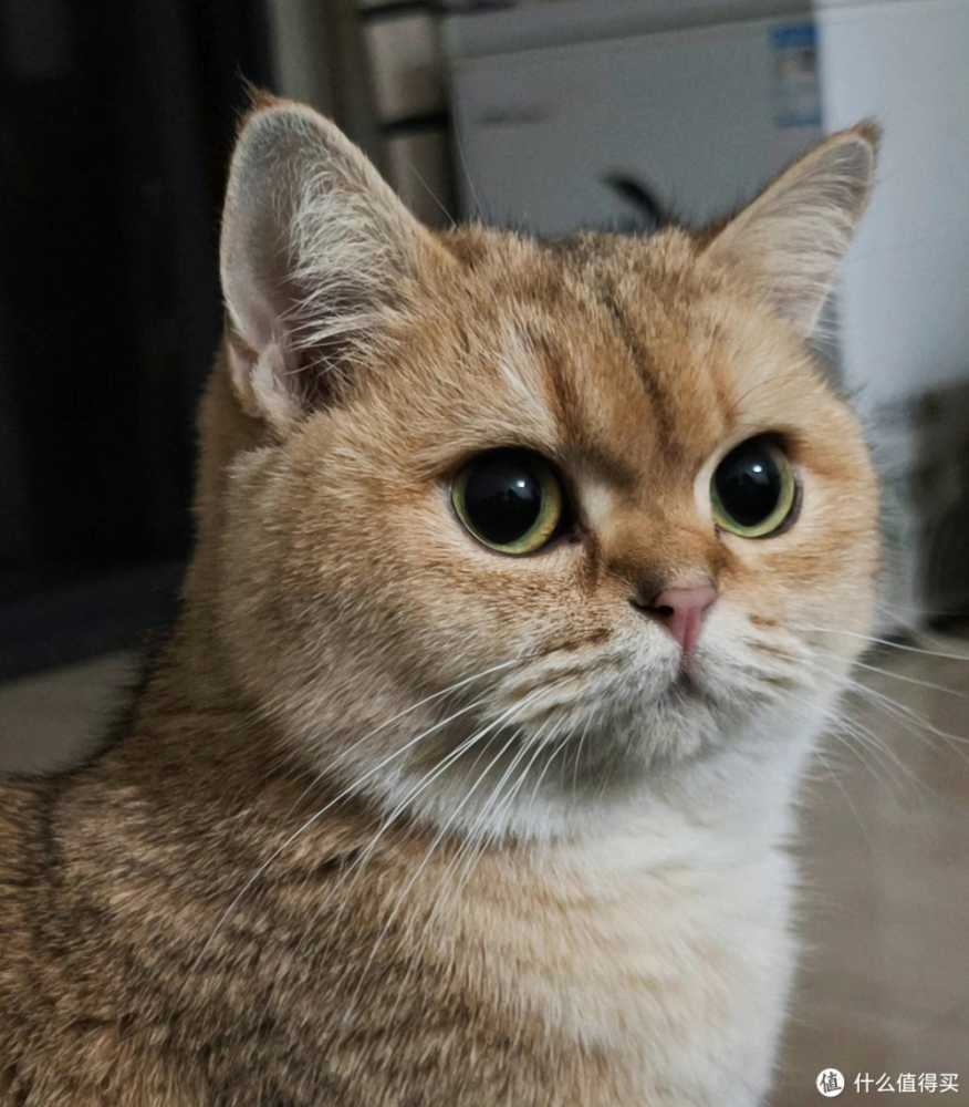 春天的第一部手机 OPPO Find X7标准即Pro？不见得