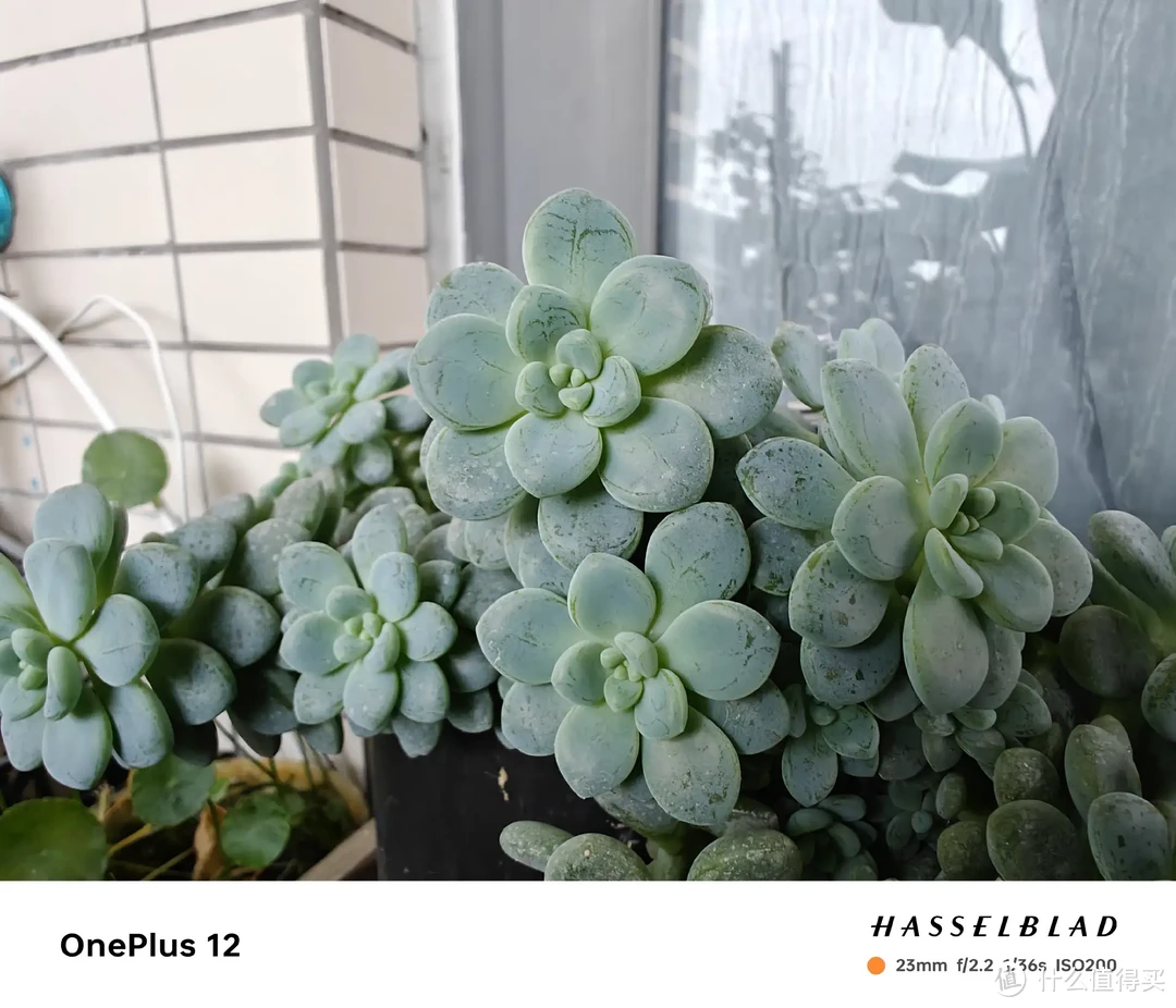 二狗聊数码 篇一百七十:女王节送礼指南,这些数码好物值得入手插图4 女王节送礼指南,这些数码好物值得入手