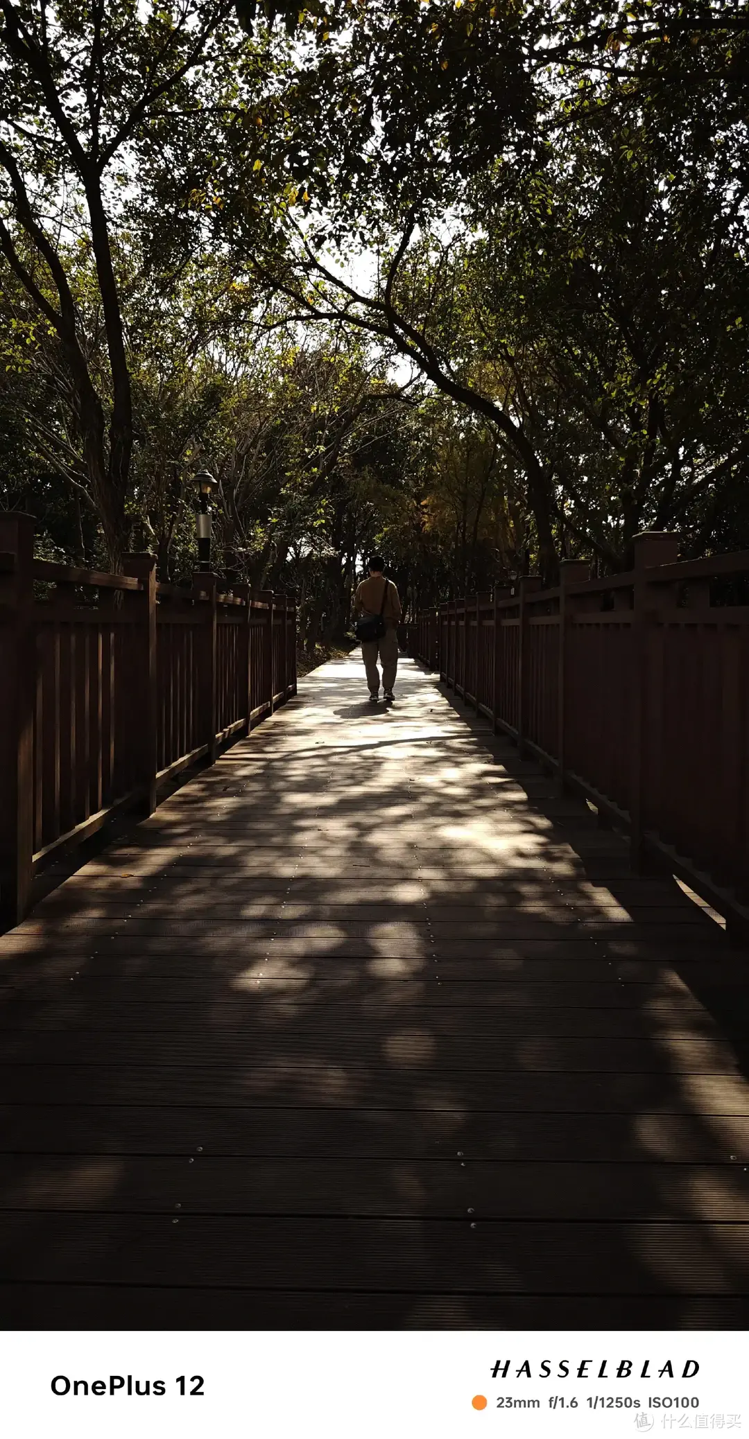 电子浪漫，用数码诠释爱的未来！女神节数码好物大公开！