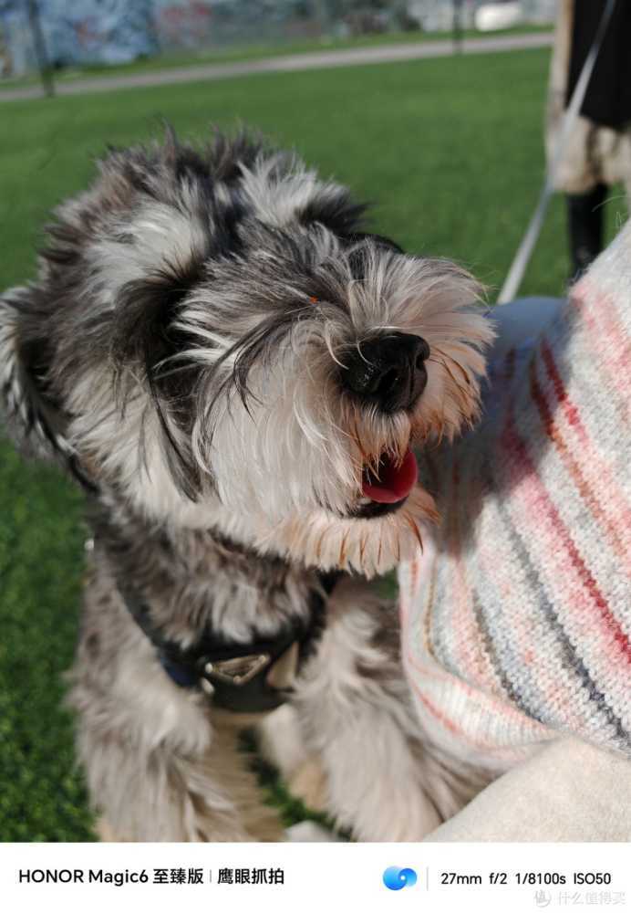 荣耀Magic6至臻版，为什么我管它叫「养老机中的战斗机」？