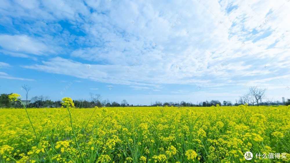 百元机“翘楚”，高清大屏+256GB大内存+八核芯，暖心价598元！