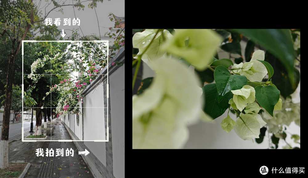 一加Ace3V 不止是年轻人的第一台Ai手机 更是打工人的助力神器插图16 一加Ace3V 不止是年轻人的第一台Ai手机 更是打工人的助力神器