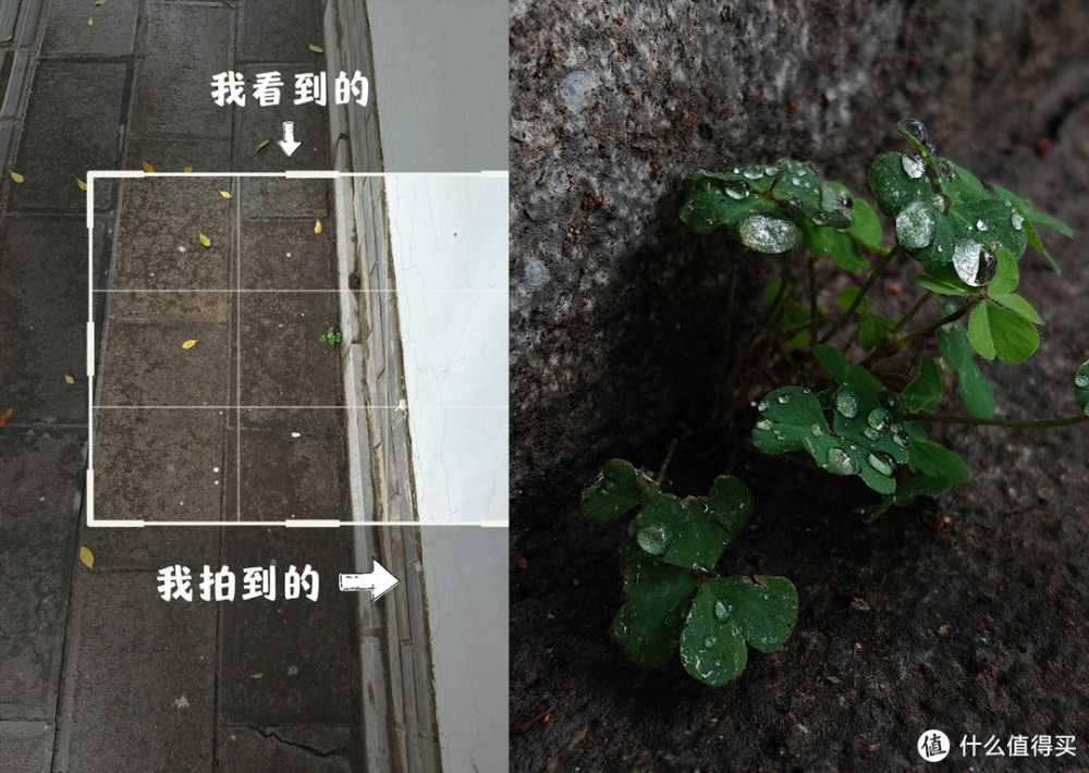 一加Ace3V 不止是年轻人的第一台Ai手机 更是打工人的助力神器插图17 一加Ace3V 不止是年轻人的第一台Ai手机 更是打工人的助力神器