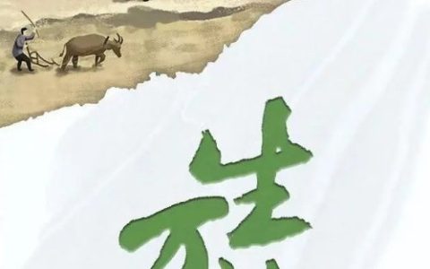 《铁齿铜牙纪晓岚》导演新作将开机 杨幂倪大红出演