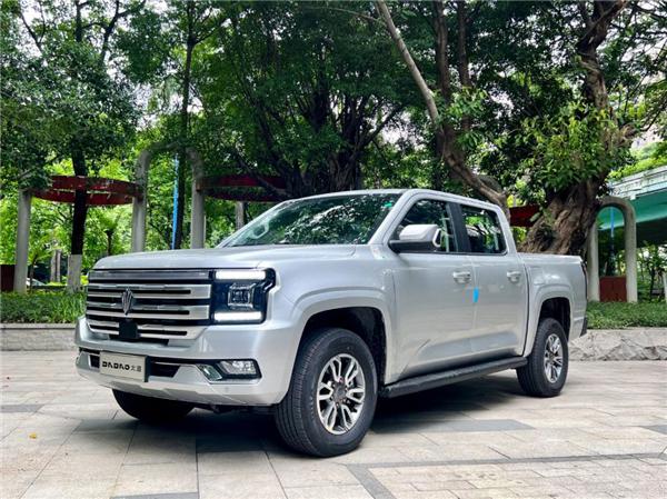 2月自动挡皮卡销量解读：长城霸主地位难撼 谁能挑战插图1