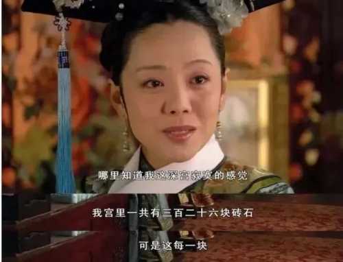 砖妃是什么梗 砖妃是谁的绰号插图 砖妃是什么梗 砖妃是谁的绰号