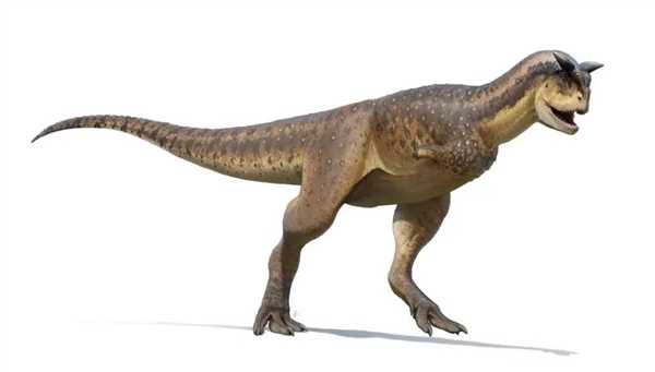 霸王龙这样的大型食肉恐龙 为什么有着非常可笑的小手臂