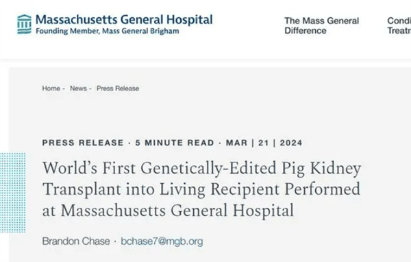 世界首例猪肾成功移植到活人体内：很快就能出院