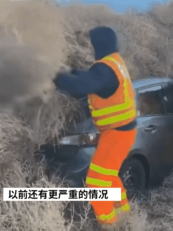 一觉醒来美国犹他州的房屋被草淹了！