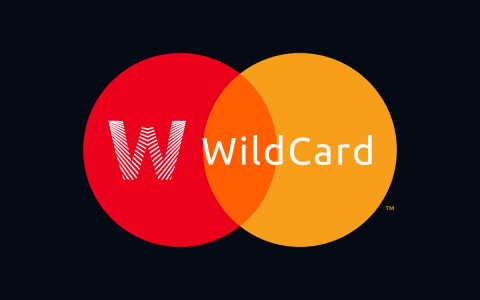 WildCard借记卡如何绑定OpenAI