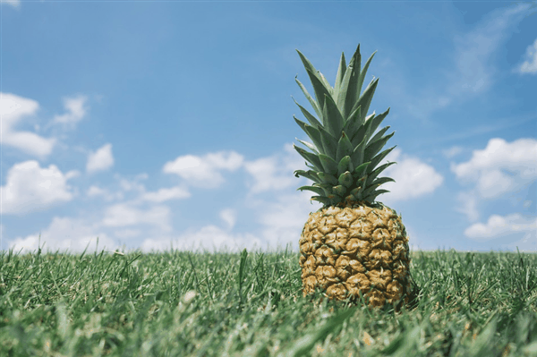 吃菠萝扎嘴别用盐水泡了：真的没啥用！