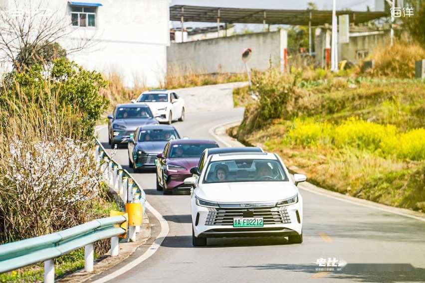 电比油低 荣耀不停 比亚迪海洋5款车型荣耀版贵阳正式上市