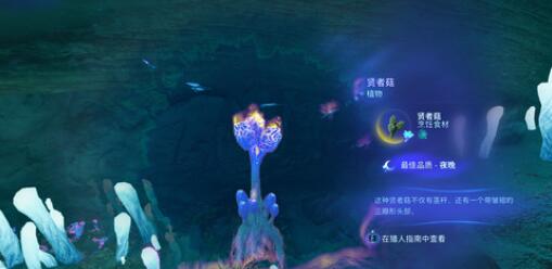 阿凡达潘多拉边境贤者菇在哪获取- 贤者菇获取位置介绍