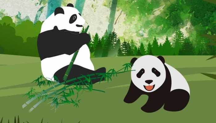 气温波动较大，全国多地导致雨雪天气频发