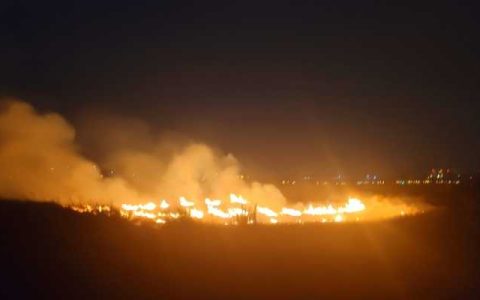 2024年3月1日森林火险气象预报：河北辽宁内蒙古等部分地区森林火险气象等级较高