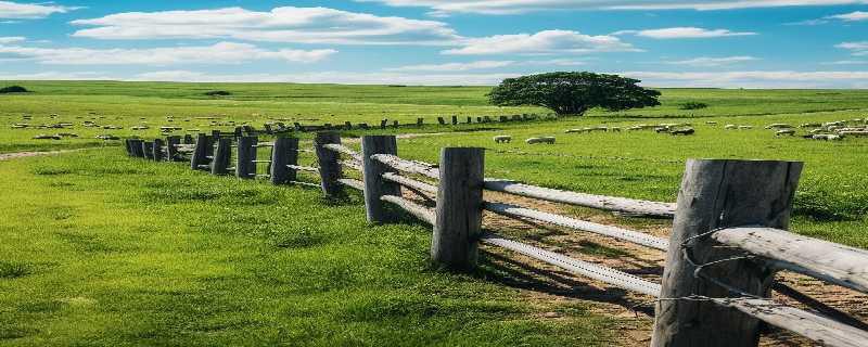 2024呼和浩特3月旅游攻略 别当大冤种了插图 2024呼和浩特3月旅游攻略 别当大冤种了