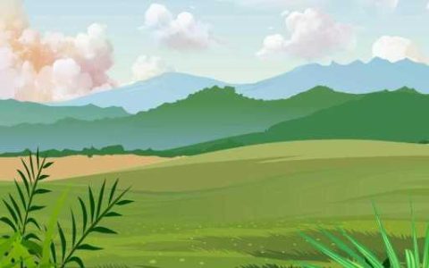 我国唯一没有山的城市，最高海拔只有8米，连爬山都是奢侈