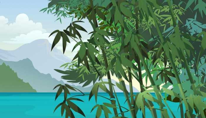 溶液面的饱和水汽压 影响溶液面饱和水汽压的因素是什么