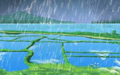 大气环流的变化有什么特点 大气环流决定于地表热力分布特征