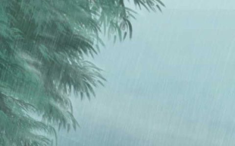 明后天福建部分地区小雨淅沥 多地气温起伏较大及时增减衣物