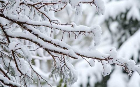 环境污染的危害有哪些 环境污染会产生哪些后果