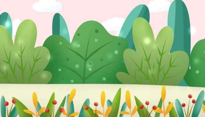 森林环境保护的内容及对策 如何保护森林环境