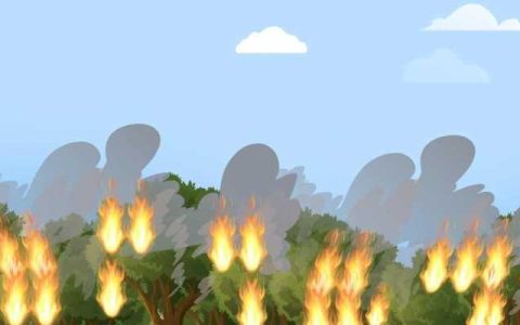 2024年3月4日森林火险气象预报：四川贵州云南等部分地区森林火险气象等级较高