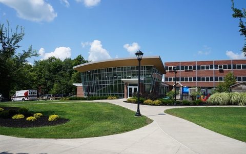 老师一个月直播超百场 官方回应：工作时间禁播 家长打赏需退还