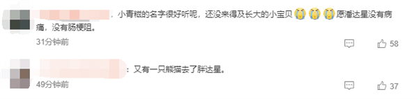 大熊猫“青糍”因病去世:患罕见肠梗阻并发肠套叠插图4 大熊猫“青糍”因病去世:患罕见肠梗阻并发肠套叠