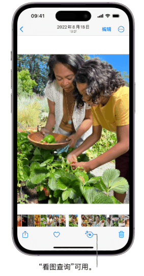 iPhone15promax怎么使用看图查询识别图片内信息？