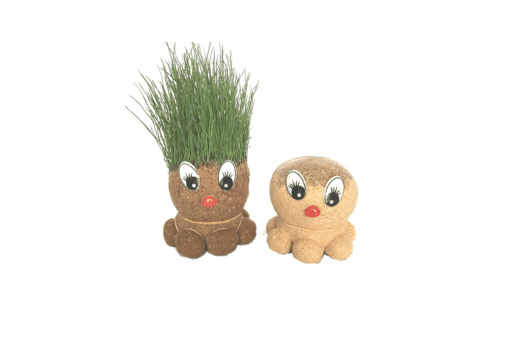 草头娃娃可以在冬天养吗?草头娃娃冬天养得活吗