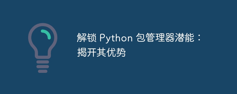 解锁 Python 包管理器潜能：揭开其优势