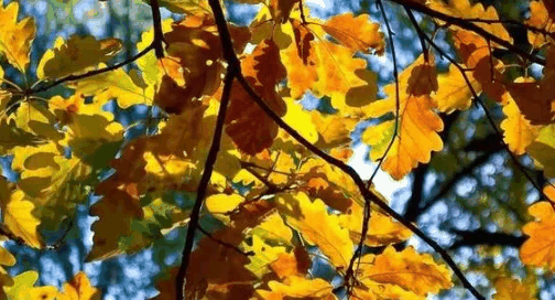 2024年五一天气热还是冷?五一期间天气怎么样