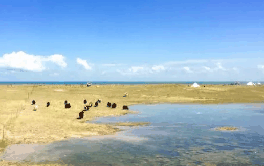 2024年5月份大概多少度?2024年5月份的气温怎样