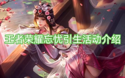 王者荣耀忘忧引生活动介绍