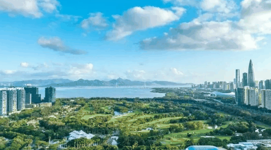 2024年深圳市七月份热还是八月份热?深圳夏季最热是几月