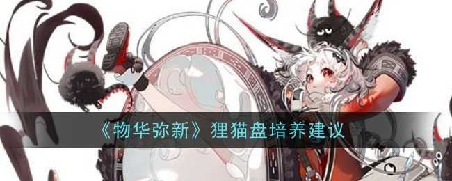《物华弥新》狸猫盘培养建议