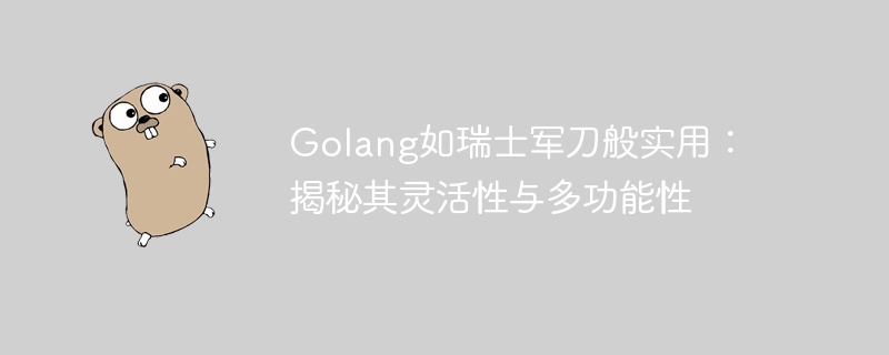 Golang如瑞士军刀般实用:揭秘其灵活性与多功能性插图 Golang如瑞士军刀般实用:揭秘其灵活性与多功能性