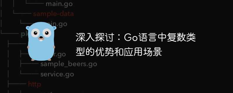 深入探讨:Go语言中复数类型的优势和应用场景插图 深入探讨:Go语言中复数类型的优势和应用场景