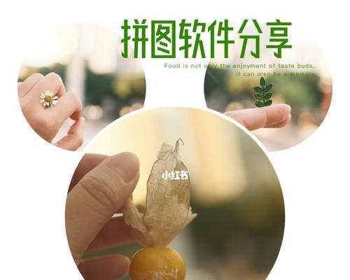 拼图照片怎么拼图软件（手机拼图软件手机版免费）