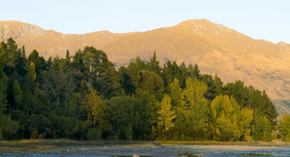 2024年五月份去新疆冷不冷?五月份新疆天气怎么样