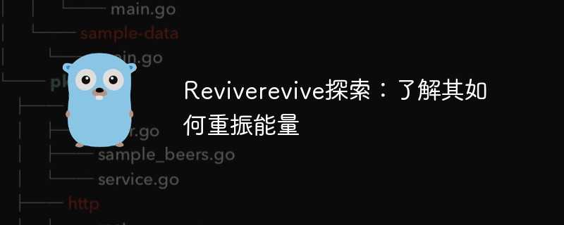 Reviverevive探索：了解其如何重振能量