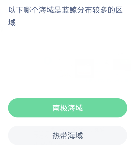 蚂蚁森林神奇海洋4月8日:以下哪个海域是蓝鲸分布较多的区域插图1 蚂蚁森林神奇海洋4月8日:以下哪个海域是蓝鲸分布较多的区域